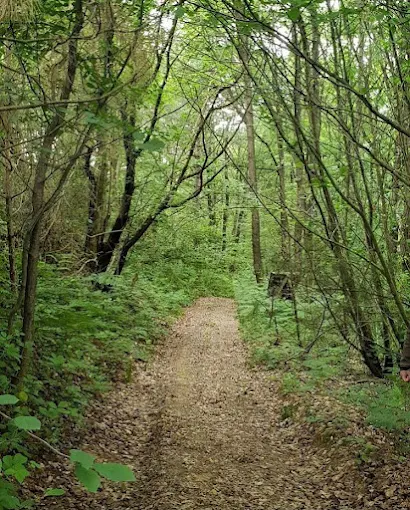 Suma Disanje Boutique Hotel